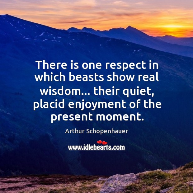 There is one respect in which beasts show real wisdom… their quiet, Image