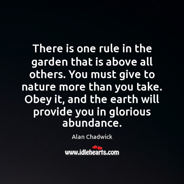 There is one rule in the garden that is above all others. Alan Chadwick Picture Quote