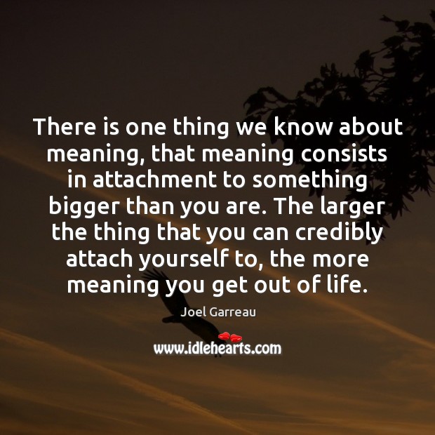 There is one thing we know about meaning, that meaning consists in Joel Garreau Picture Quote