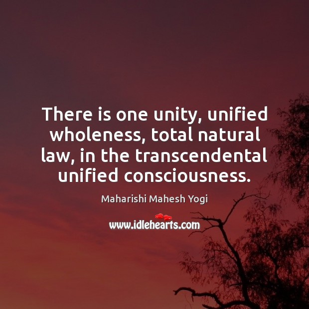 There is one unity, unified wholeness, total natural law, in the transcendental Image