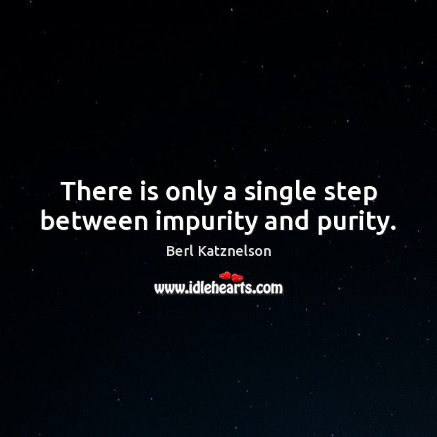 There is only a single step between impurity and purity. Berl Katznelson Picture Quote