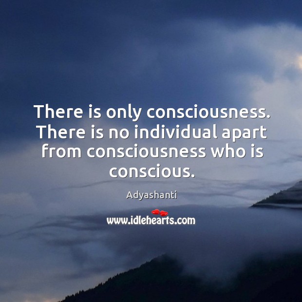 There is only consciousness. There is no individual apart from consciousness who Adyashanti Picture Quote