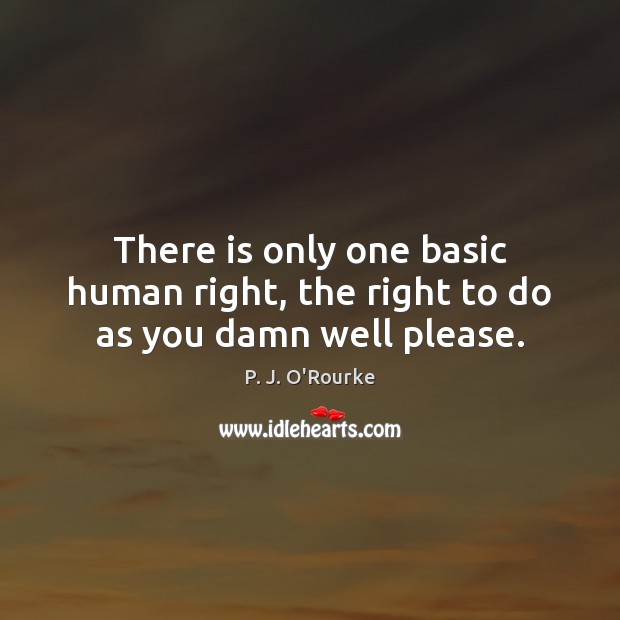 There is only one basic human right, the right to do as you damn well please. P. J. O’Rourke Picture Quote