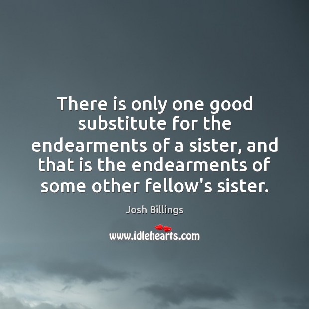 There is only one good substitute for the endearments of a sister, Josh Billings Picture Quote
