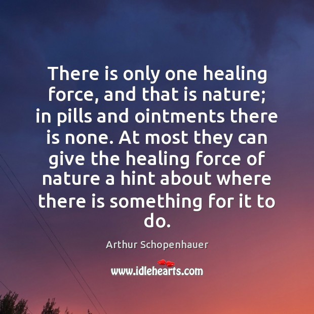 There is only one healing force, and that is nature; in pills Arthur Schopenhauer Picture Quote