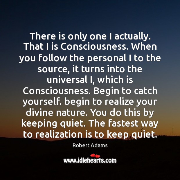 There is only one I actually. That I is Consciousness. When you Robert Adams Picture Quote
