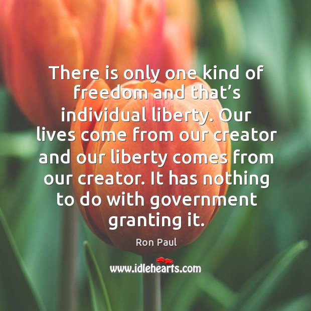 There is only one kind of freedom and that’s individual liberty. Ron Paul Picture Quote