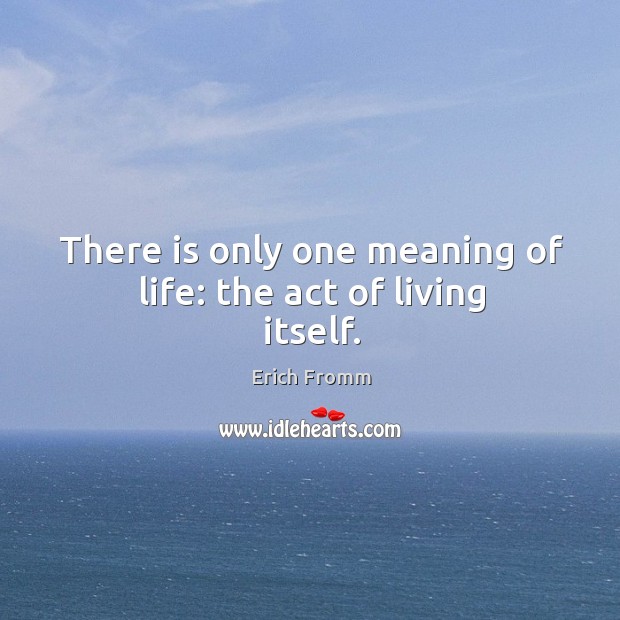 There is only one meaning of life: the act of living itself. Image