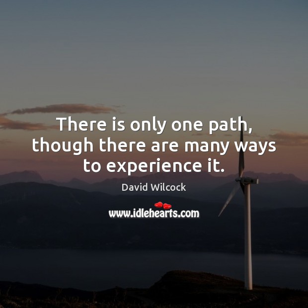 There is only one path, though there are many ways to experience it. David Wilcock Picture Quote