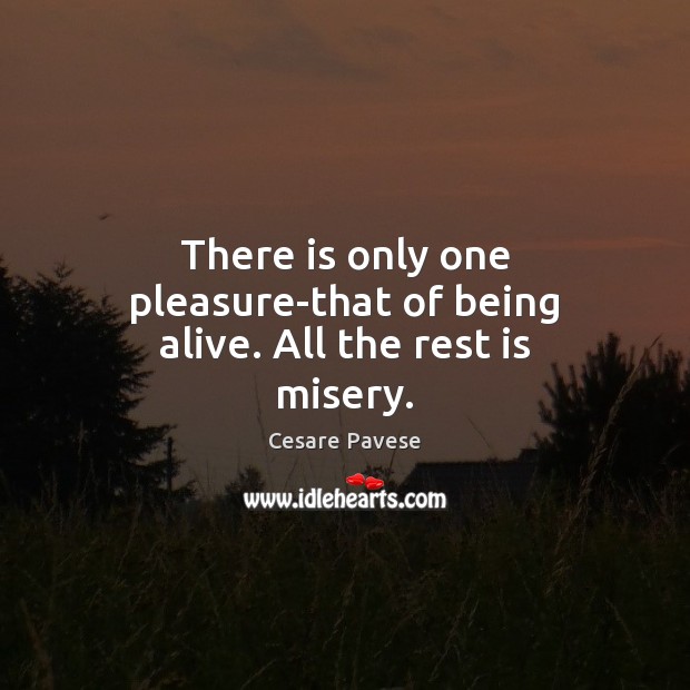 There is only one pleasure-that of being alive. All the rest is misery. Cesare Pavese Picture Quote
