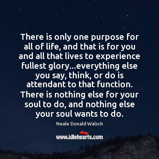 There is only one purpose for all of life, and that is Neale Donald Walsch Picture Quote