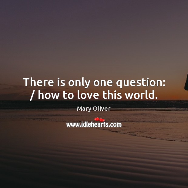 There is only one question: / how to love this world. Mary Oliver Picture Quote