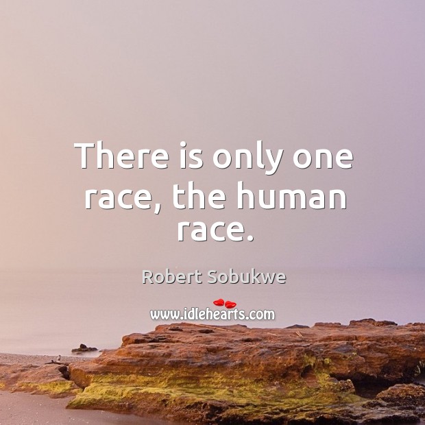 There is only one race, the human race. Robert Sobukwe Picture Quote