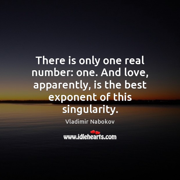 There is only one real number: one. And love, apparently, is the Vladimir Nabokov Picture Quote
