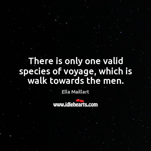 There is only one valid species of voyage, which is walk towards the men. Ella Maillart Picture Quote