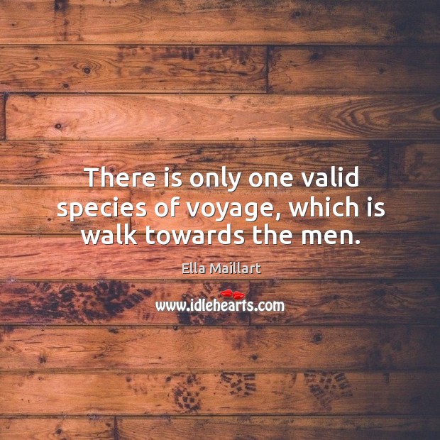 There is only one valid species of voyage, which is walk towards the men. Ella Maillart Picture Quote