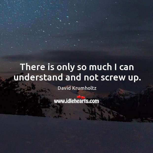 There is only so much I can understand and not screw up. David Krumholtz Picture Quote