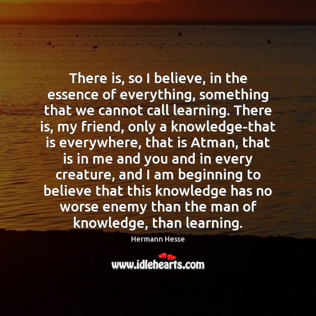 There is, so I believe, in the essence of everything, something that Hermann Hesse Picture Quote