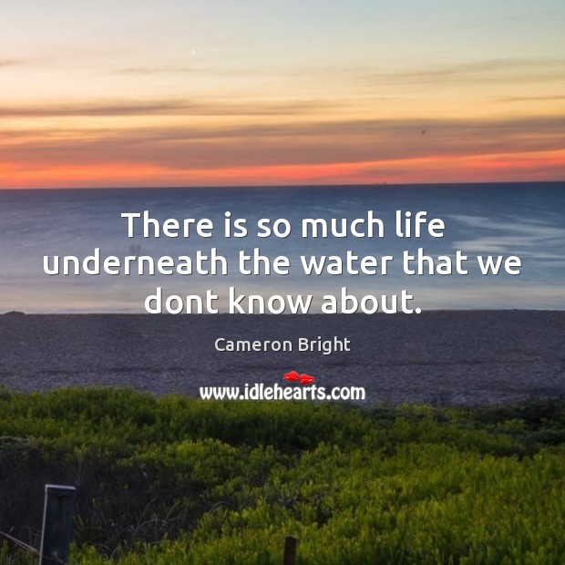 There is so much life underneath the water that we dont know about. Cameron Bright Picture Quote