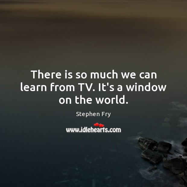 There is so much we can learn from TV. It’s a window on the world. Stephen Fry Picture Quote