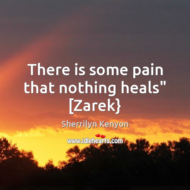 There is some pain that nothing heals” [Zarek} Sherrilyn Kenyon Picture Quote