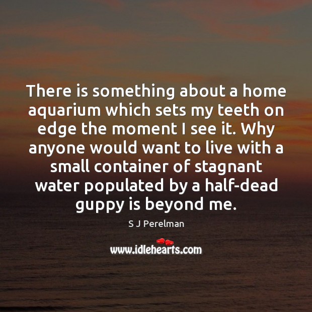 There is something about a home aquarium which sets my teeth on S J Perelman Picture Quote