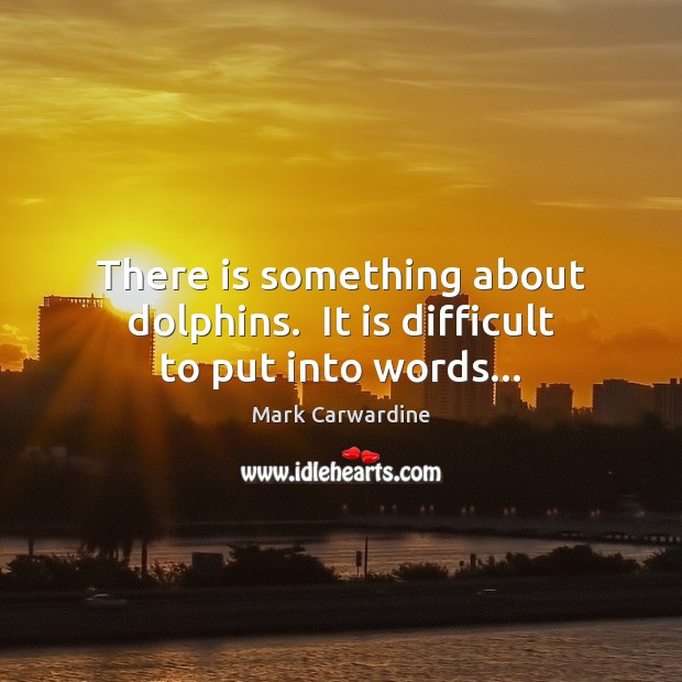 There is something about dolphins.  It is difficult to put into words… Mark Carwardine Picture Quote