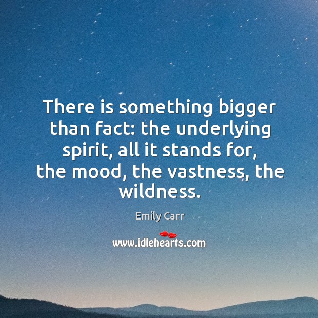There is something bigger than fact: the underlying spirit, all it stands for, the mood, the vastness, the wildness. Image