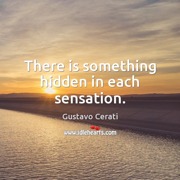 There is something hidden in each sensation. Gustavo Cerati Picture Quote