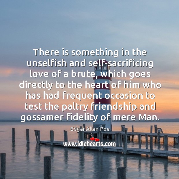 There is something in the unselfish and self-sacrificing love of a brute, which goes directly Image