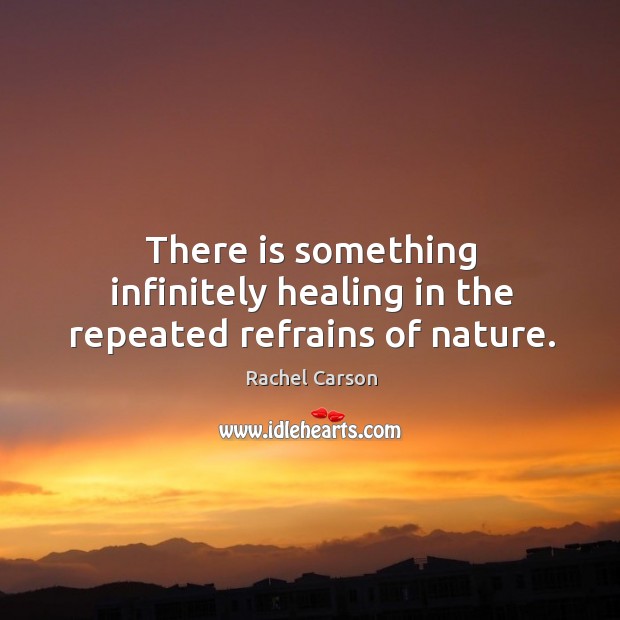 There is something infinitely healing in the repeated refrains of nature. Rachel Carson Picture Quote