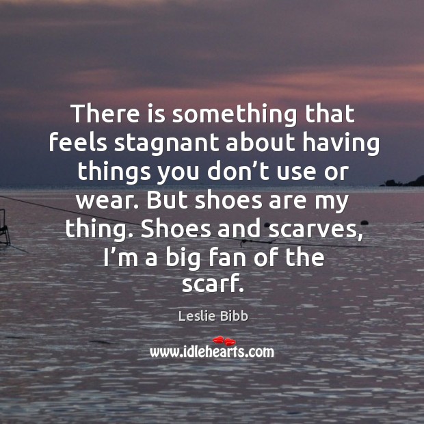 There is something that feels stagnant about having things you don’t use or wear. Leslie Bibb Picture Quote