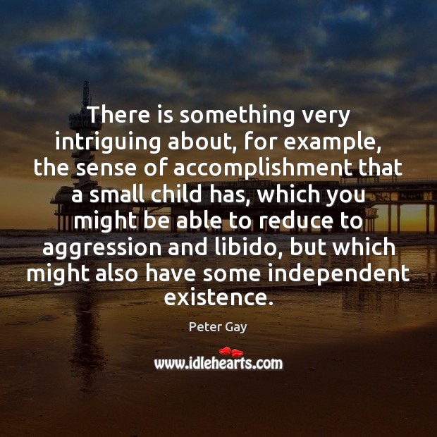 There is something very intriguing about, for example, the sense of accomplishment Peter Gay Picture Quote