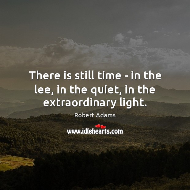 There is still time – in the lee, in the quiet, in the extraordinary light. Robert Adams Picture Quote