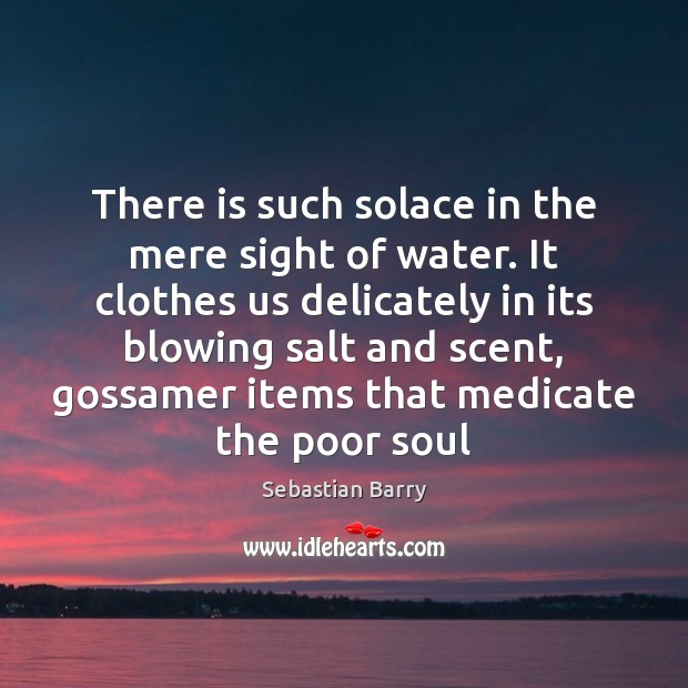 There is such solace in the mere sight of water. It clothes Sebastian Barry Picture Quote