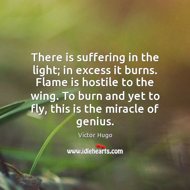 There is suffering in the light; in excess it burns. Flame is Image