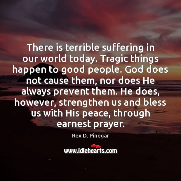 There is terrible suffering in our world today. Tragic things happen to Rex D. Pinegar Picture Quote