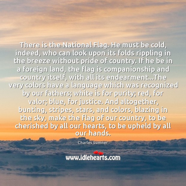 There is the National Flag. He must be cold, indeed, who can Charles Sumner Picture Quote