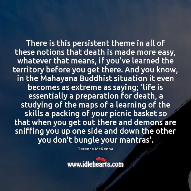 There is this persistent theme in all of these notions that death Terence McKenna Picture Quote