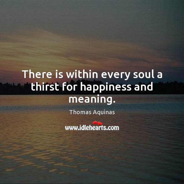 There is within every soul a thirst for happiness and meaning. Image