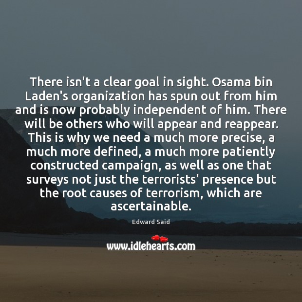 There isn’t a clear goal in sight. Osama bin Laden’s organization has Image