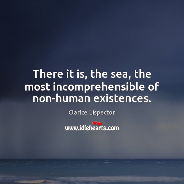 There it is, the sea, the most incomprehensible of non-human existences. Clarice Lispector Picture Quote