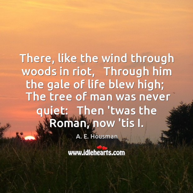 There, like the wind through woods in riot,   Through him the gale A. E. Housman Picture Quote