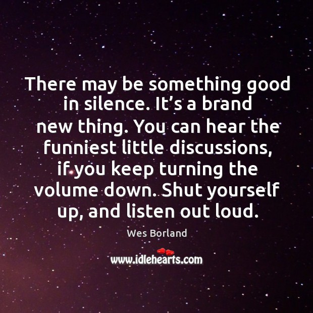 There may be something good in silence. It’s a brand new thing. Wes Borland Picture Quote