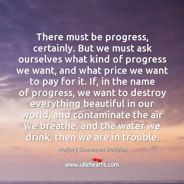 There must be progress, certainly. But we must ask ourselves what kind Marjory Stoneman Douglas Picture Quote