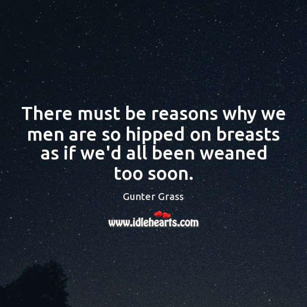 There must be reasons why we men are so hipped on breasts Gunter Grass Picture Quote