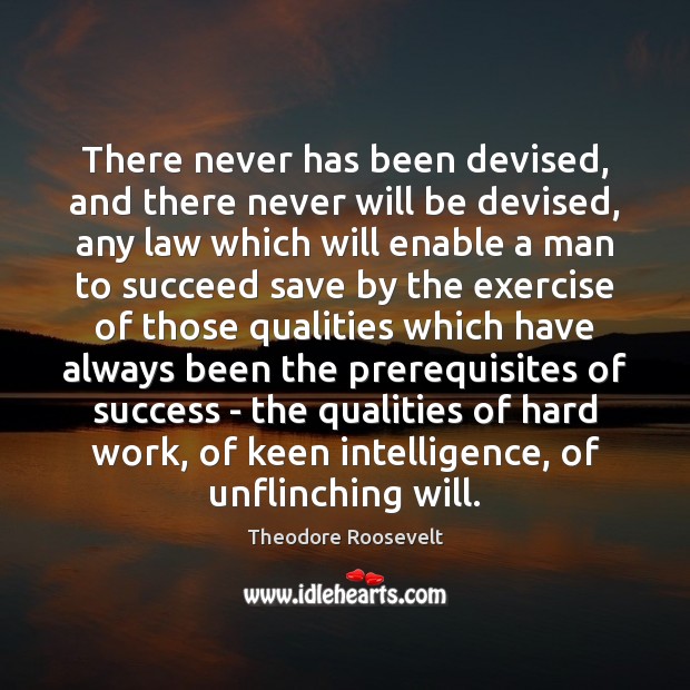 There never has been devised, and there never will be devised, any Theodore Roosevelt Picture Quote