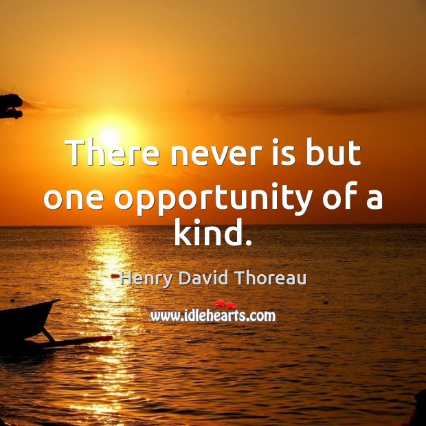 There never is but one opportunity of a kind. Henry David Thoreau Picture Quote