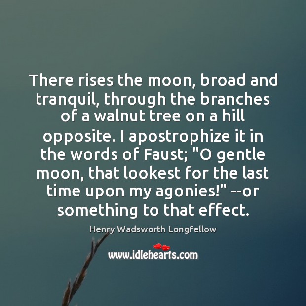 There rises the moon, broad and tranquil, through the branches of a Image