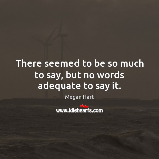 There seemed to be so much to say, but no words adequate to say it. Megan Hart Picture Quote